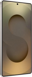 Samsung Galaxy S25 Ultra 12/1TB серый титан
